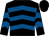 Black, royal blue chevrons, black cap (Newton Racing)