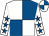 Royal blue & white quartered, white sleeves, royal blue stars, royal blue & white quartered cap (Eugene A Bourke)