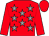 Red, grey stars, red sleeves and cap (Shire Birds)
