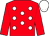 Red, white spots, red sleeves, white cap (Mr M Landau & Mr J Lightfoot)