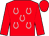 Red, silver horseshoes, silver horseshoes on cap (Garcia, Mario L , Garcia, Michael, Garcia, Patricia And Wilson, Giselle)