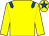 Yellow, royal blue epaulettes, yellow cap, royal blue star (Dr Michael Smurfit & Anthony Paul Smurfit & Samuel M Mencoff)
