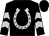 Black, silver horseshoe, silver chevrons on sleeves (Hillside Thoroughbreds Llc)