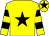 Yellow, black star, hooped sleeves and star on cap (Mr M Fothergill)
