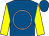 Royal blue, white circle on body, yellow sleeves (Mr G A Jackman)