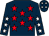 Dark blue, red stars, dark blue sleeves, white stars and stars on cap (Mr John P Evitt)