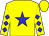 Yellow, blue star, blue diamonds on sleeves, yellow cap (Kendall Hansen)