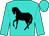 Turquoise, black horse (Dave Casalinova)