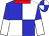 Blue & white quarters, red collar, blue and white halved sleeves (Haffner, James G And Hedge, Rick)