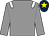 Grey, white epaulets, dark blue cap, yellow star (Mrs Van Geest & Mrs Kelvin Hughes)