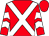 Red, white cross belts, chevrons on sleeves (Mr J Aljunaibi)