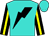 Turquoise, black lightning bolt, yellow stripe on black sleeves (Hayden Pong Hei Ting)