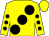 Yellow, large black spots, yellow sleeves, black spots (Nigel & Barbara Collison)