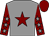 Grey, maroon star, maroon sleeves, grey stars, maroon cap (Mr Warwick Ryan-beswick)