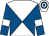 White and royal blue diabolo, royal blue sleeves, white armlets, white and royal blue hooped cap (N Webb & P J Proudley)