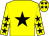 yellow, black star, yellow sleeves, black stars, yellow cap, black stars (D Jousse)