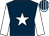 DARK BLUE, white star & sleeves, light blue cap, dark blue stripes (J M Fitzpatrick)