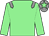 Light green, grey epaulettes, grey cap, light green star (Alan E Smith)
