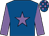 Royal blue, mauve star & sleeves, check cap (Michael Frances O'Neill)