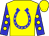 Yellow, blue horseshoe, yellow spots on blue sleeves, yellow cap (Ryan Kerbel)
