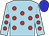 Pale blue, cherry spots, blue cap (Mrs C J Black & Mrs Sue Briscoe)