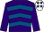 Purple & royal blue chevrons, purple sleeves, white cap, purple stars (Richard G Walsh)