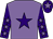 Mauve, purple star, purple sleeves, mauve stars, purple cap, mauve star (Miss H Brookshaw)