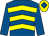 Royal blue & yellow chevrons, royal blue sleeves, yellow cap, royal blue diamond (Boherna Racing Syndicate)