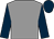 Grey, dark blue sleeves and cap (Mrs Sue Teal)