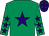 Emerald green, purple star, emerald green sleeves, purple stars, purple cap, emerald green stars (Raymond Scullion/martin McGrogan)