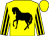 Yellow, black horse, yellow sleeves, black stripes, yellow cap, (J Turner)
