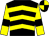 Black, yellow chevrons, yellow sleeves, black armlets, quartered cap (Aidan J Ryan & Partner)
