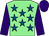 Light green, royal blue stars, purple sleeves and cap (Thornleynaylorgriffithsmulhernjohnson)