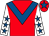 Red, royal blue chevron, white sleeves, royal blue stars, red cap, royal blue star (Trish Hall & Colin Fletcher)