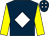 Dark blue, white diamond, yellow sleeves, dark blue cap, white diamonds (Denis Cusack)