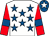 White, royal blue stars, red sleeves, royal blue armlets, royal blue cap, white star (Mr M V Coglan)