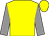 Yellow, grey sleeves (Mr B K Peppiatt & Mr D R Peppiatt)