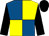 Royal blue and yellow (quartered), black sleeves and cap (Mr M P Bishop)