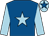 Royal blue, light blue star and sleeves, light blue cap, royal blue star (Mr Daniel Rybaruk)