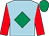 Light blue, emerald green diamond, red sleeves, emerald green cap (OK Racing Syndicate)