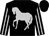 Black, silver horse, black sleeves, silver stripes, black cap, silver tassel (Mr J Turner)