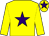 Yellow, purple star and star on cap (Sunderland Holding Inc)