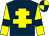 Dark blue, yellow cross of lorraine, yellow sleeves, dark blue armlets, dark blue and yellow quartered cap (Mr G Henchey)