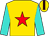 Gold, red star, turquoise sleeves, brown stripe on gold cap (Golden Era Syndicate)