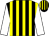 Black and yellow stripes, white sleeves (Masters Of The Hall 2)