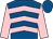Royal blue & pink chevrons, pink sleeves, royal blue cap (Ms Juliana Cassidy)