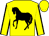 Yellow, black horse, yellow sleeves, black seams, yellow cap, black tassel (Mr J Turner)