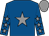 Royal blue, grey star, royal blue sleeves, grey stars, grey cap (Mr R H Walton)