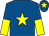Royal blue, yellow star, halved sleeves and star on cap (Mr H Wilson)