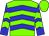 Neon green, blue chevrons, blue sleeves with neon green chevrons (Phyllis Comeaux)